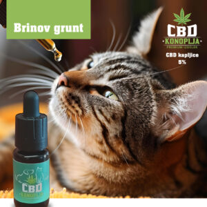 CBD + CBD Tropfen für Hunde und Katzen SET
